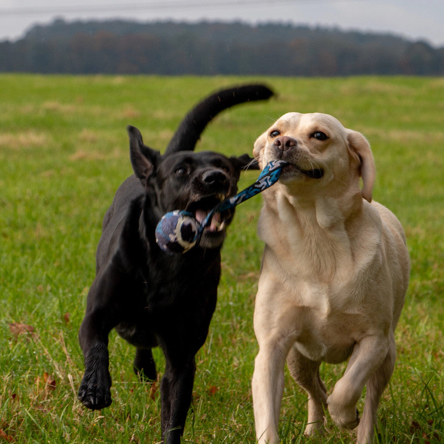 Tennis Ball with Strap