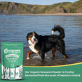 Load image into Gallery viewer, Organic Seaweed Powder
