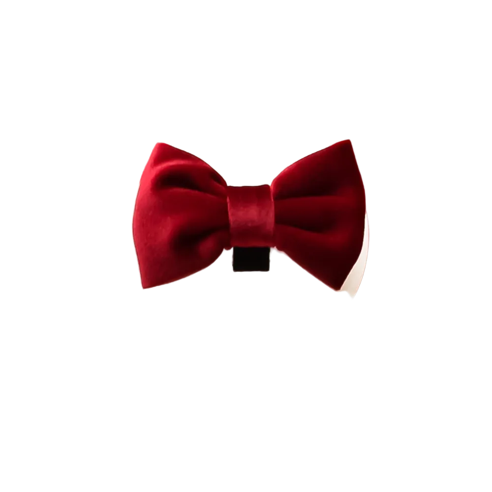 Red velvet bow tie