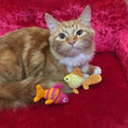 Load image into Gallery viewer, Fish Gift Set For Cats
