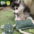 Load image into Gallery viewer, Eco Dog Toy Freddie Frog
