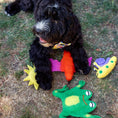 Load image into Gallery viewer, Freddy Frog Felt Dog Toy
