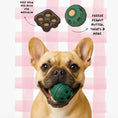 Load image into Gallery viewer, Fro Dog Ice Cube Tray
