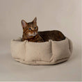 Load image into Gallery viewer, Eden 100% Recycled Cat & Small Dog Bed
