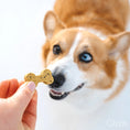Load image into Gallery viewer, Minty Fresh Dog Treats
