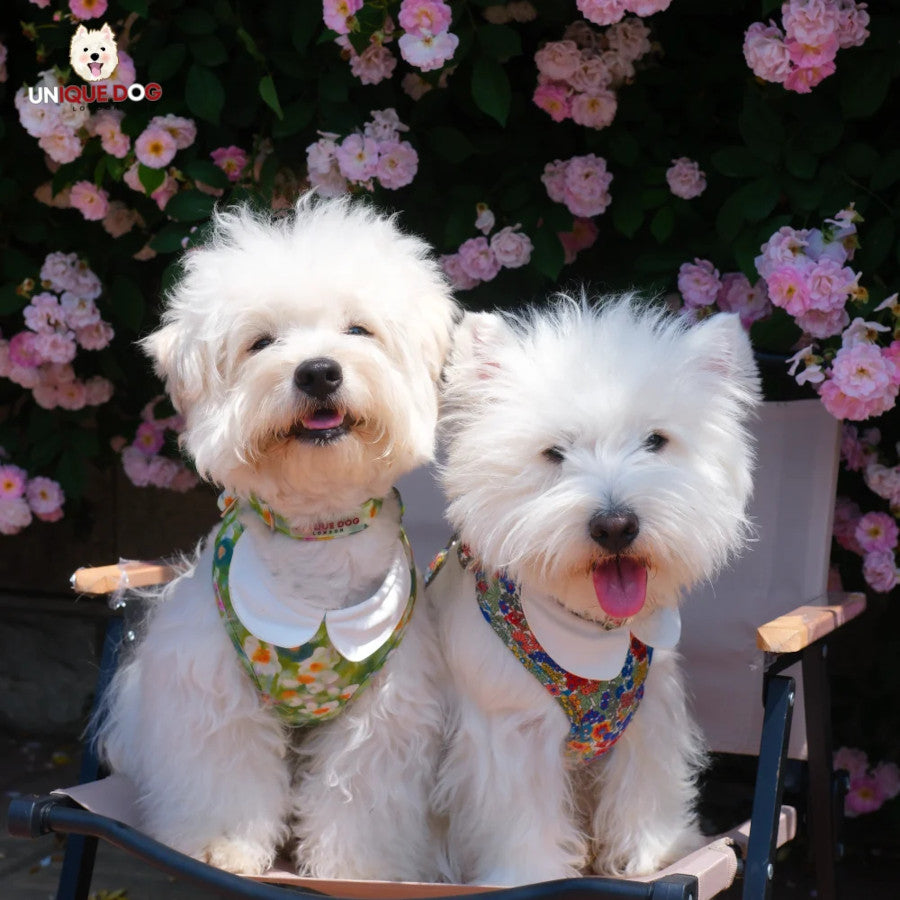 London Garden Greenwich Harness