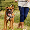 Load image into Gallery viewer, Halti Double Ended Lead
