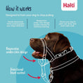 Load image into Gallery viewer, Halti Headcollar

