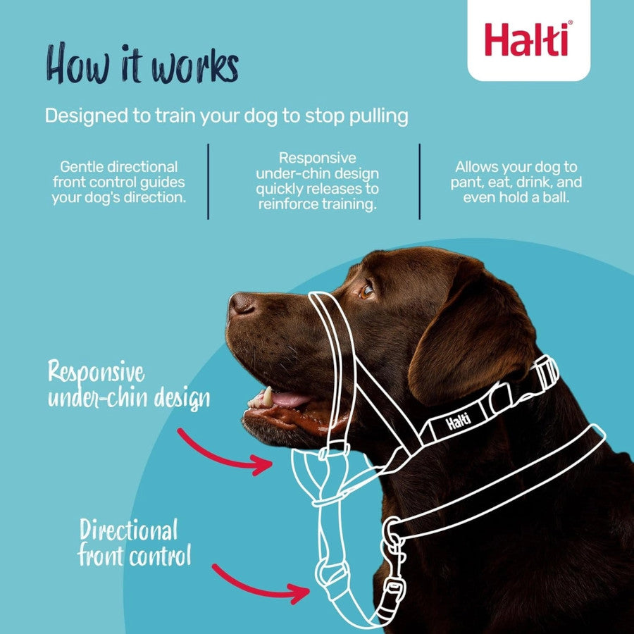 Halti Headcollar