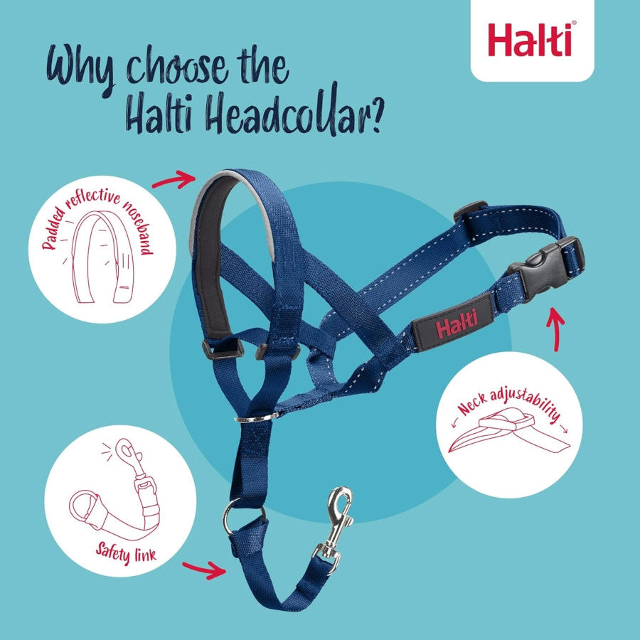 Halti Headcollar