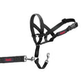 Load image into Gallery viewer, Halti Headcollar
