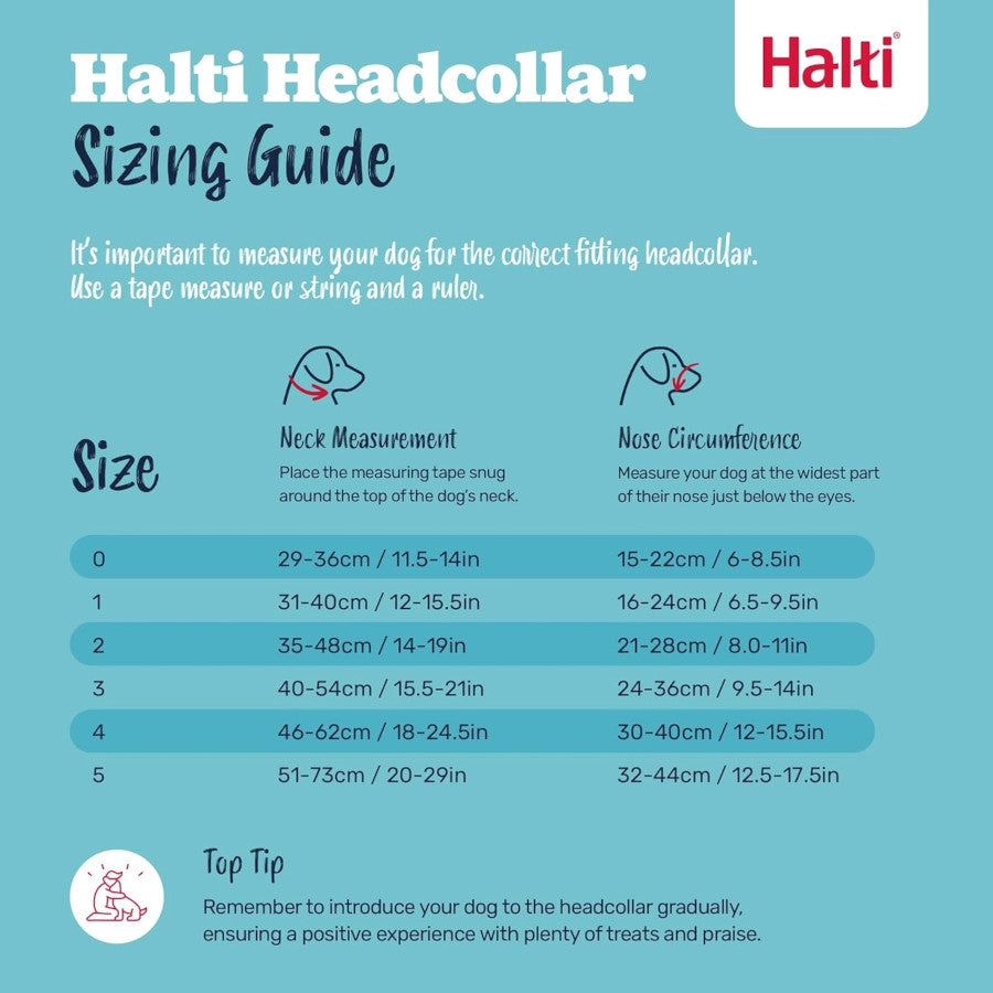 Halti Headcollar