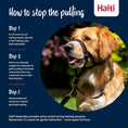 Load image into Gallery viewer, Halti Headcollar
