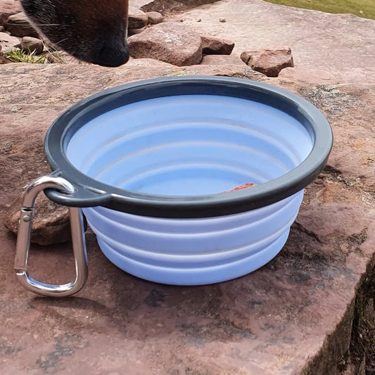 Collapsible Travel Dog Bowl