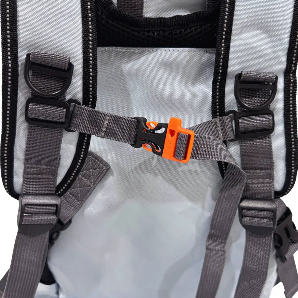 Forward Facing Dog Backpack