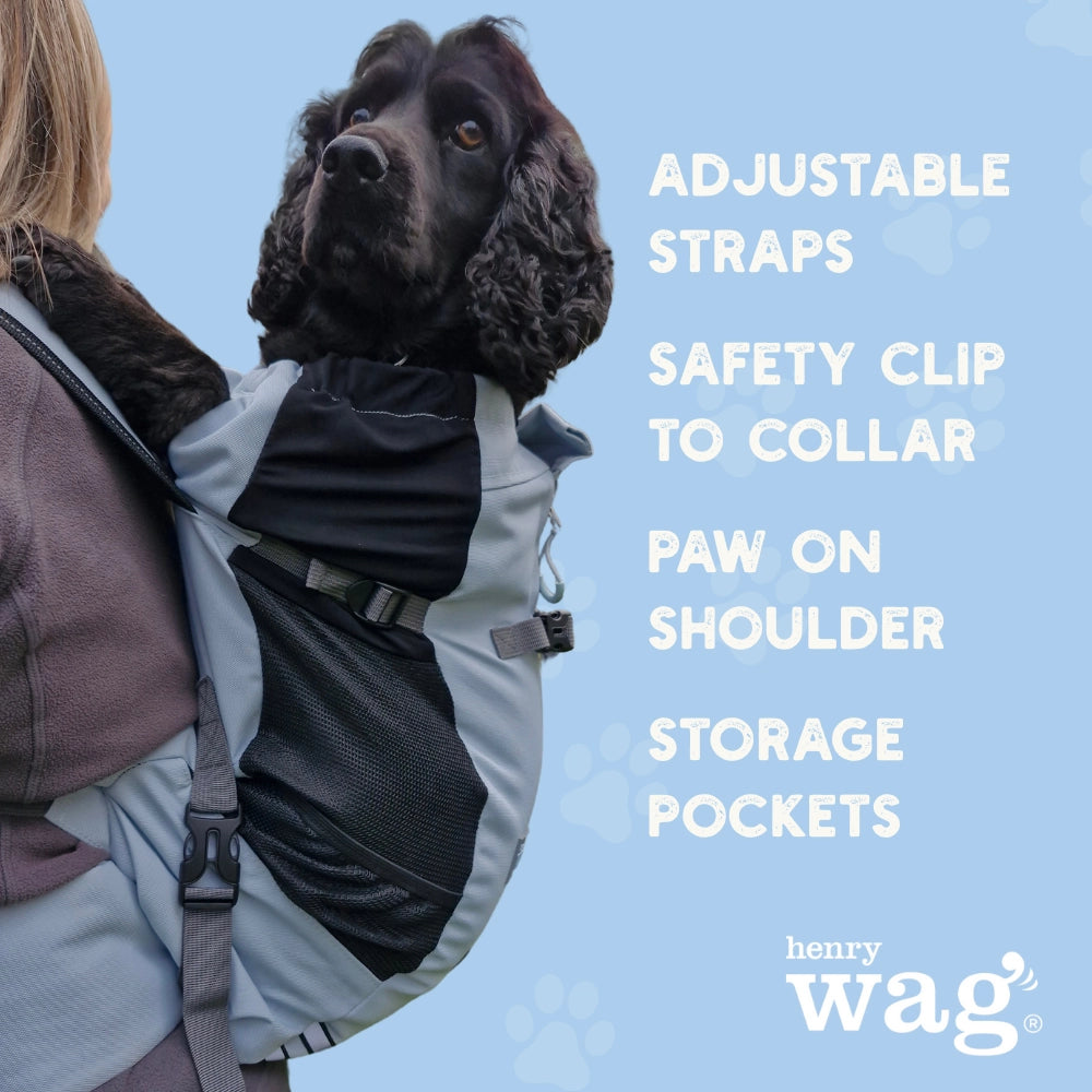 Forward Facing Dog Backpack