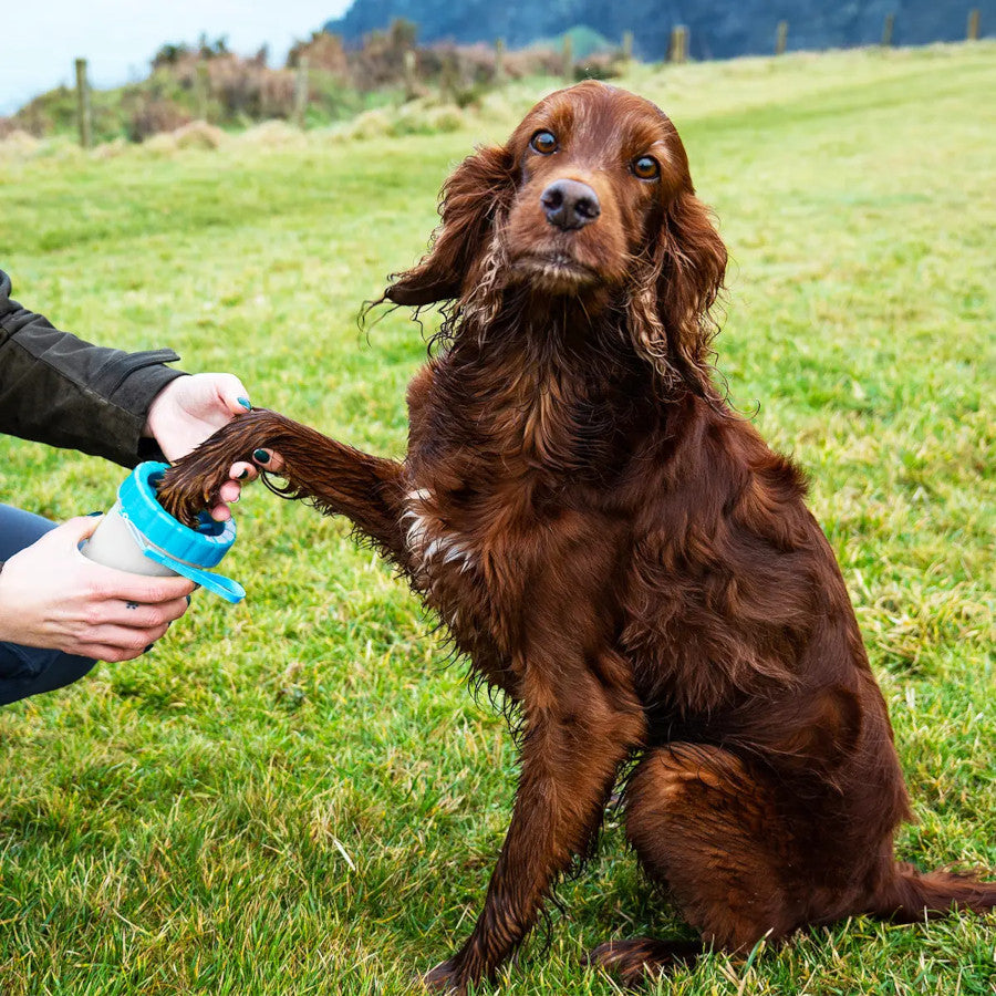 Pet Paw Cleaner