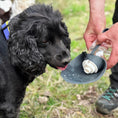 Load image into Gallery viewer, Pet Water Bottle With Leaf Bowl
