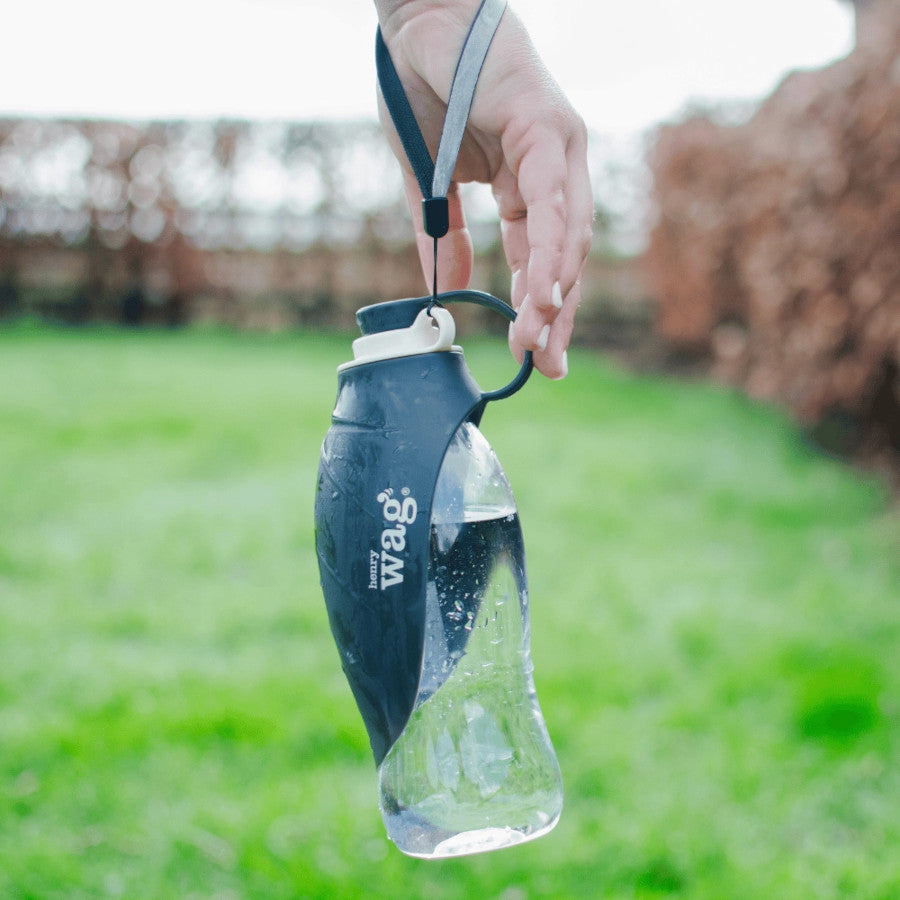 Pet Water Bottle With Leaf Bowl