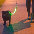 Load image into Gallery viewer, Hi-Vis Lead Attachment For Night Safety
