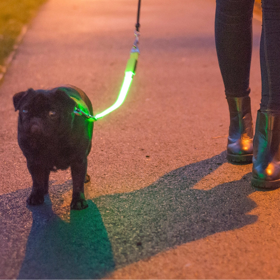 Hi-Vis Lead Attachment For Night Safety
