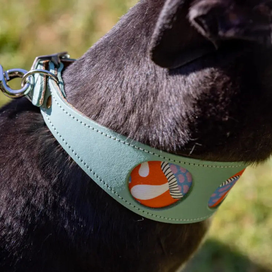 Magical Mushrooms Hound Collar