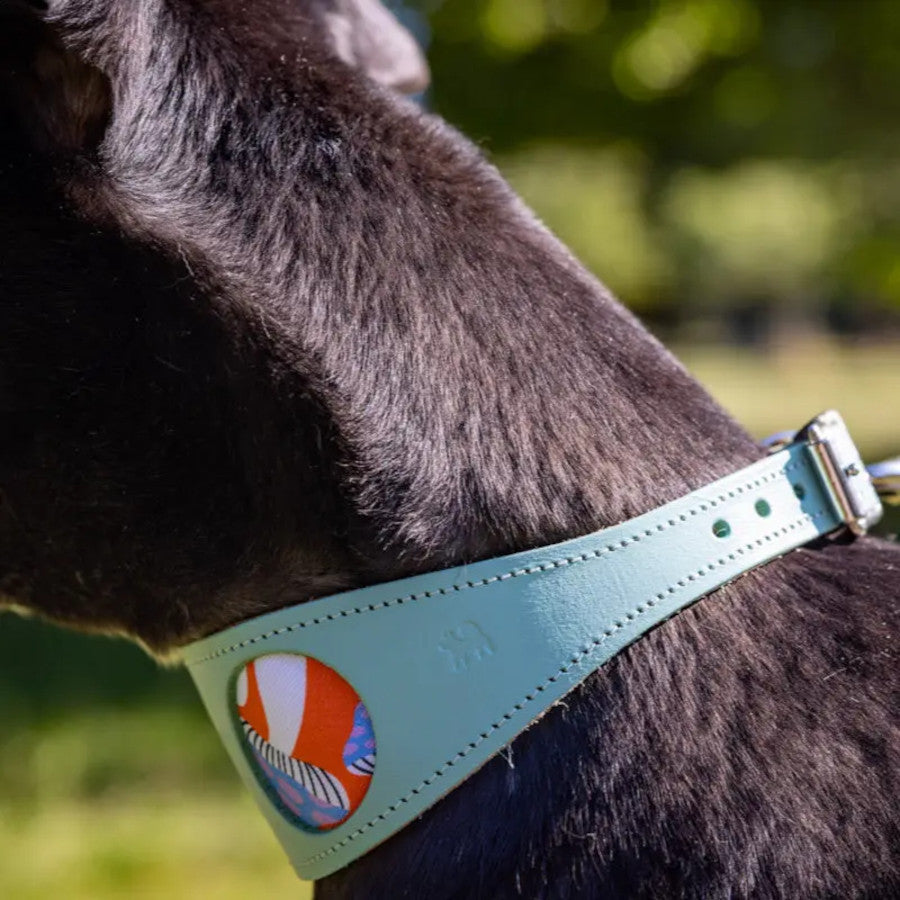 Magical Mushrooms Hound Collar