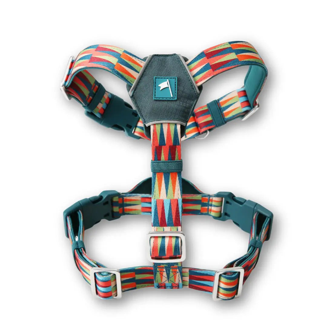 Horizon Harness Elixir