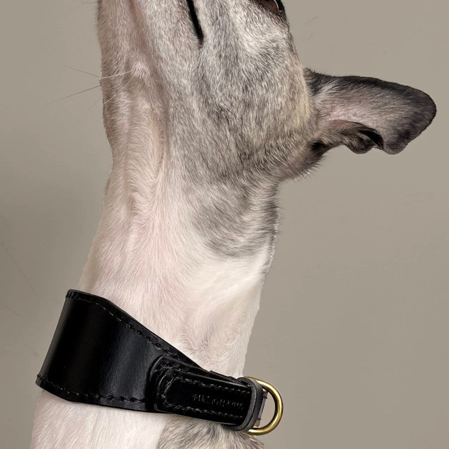 Artisan 03 Sight Hound Collar Black