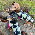 Load image into Gallery viewer, Houndstooth Dachshund Coat
