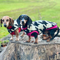 Load image into Gallery viewer, Houndstooth Dachshund Coat
