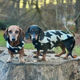 Load image into Gallery viewer, Houndstooth Dachshund Coat
