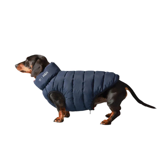 Hackett X Hugo Hudson Dog Puffer Jacket