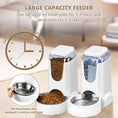 Load image into Gallery viewer, HWONMTE Automatic Cat Feeder & Water Dispenser
