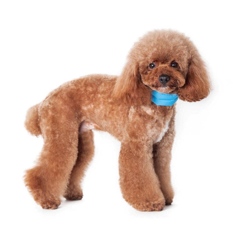 iCool Cooling Scarf for dogs