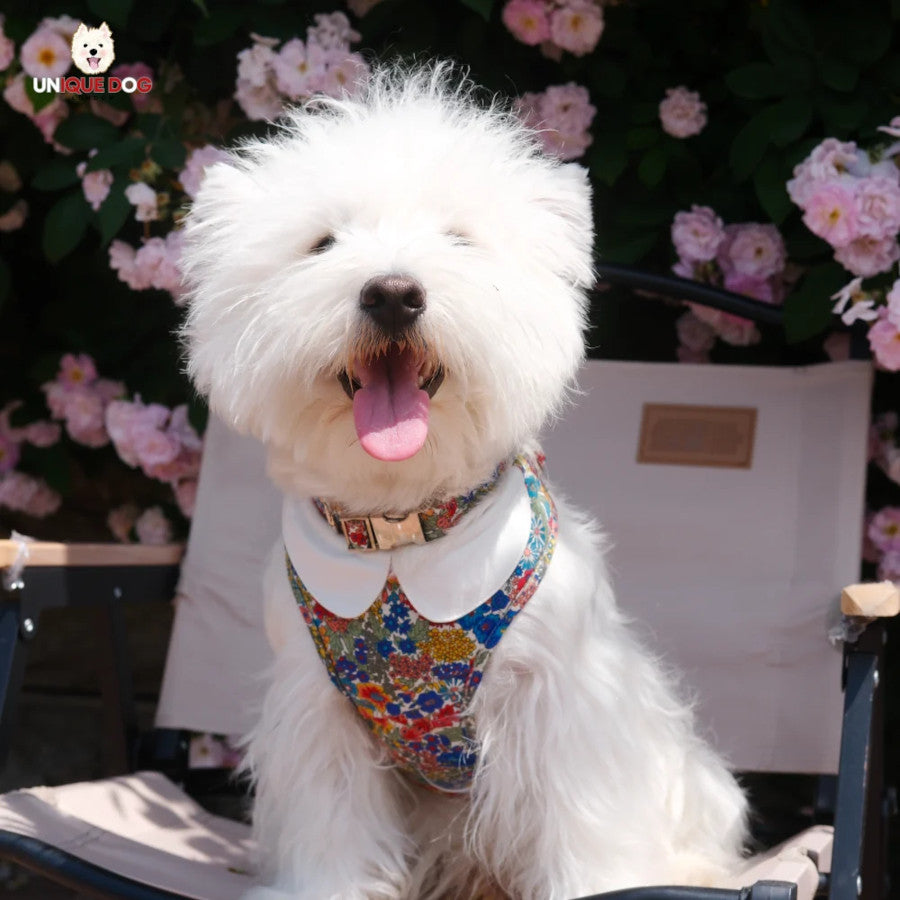 London Garden Kensington Harness