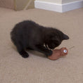 Load image into Gallery viewer, Konnie The Kiwi Catnip Toy
