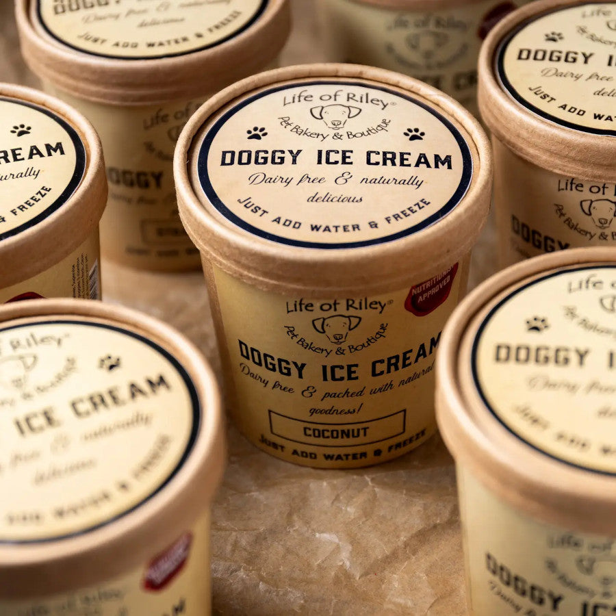 Doggy DIY Ice Cream Kit