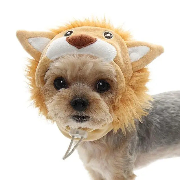 Lion Hat
