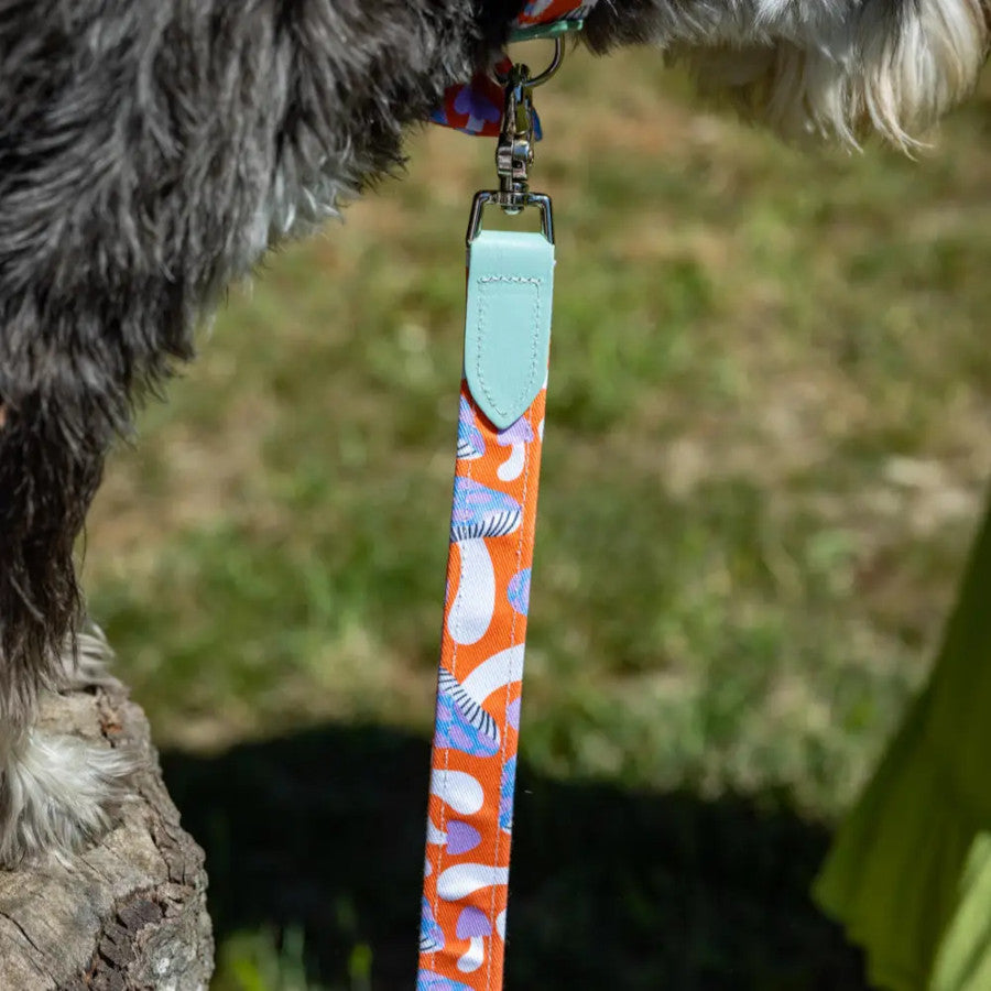 Magical Mushrooms Classic Dog Lead