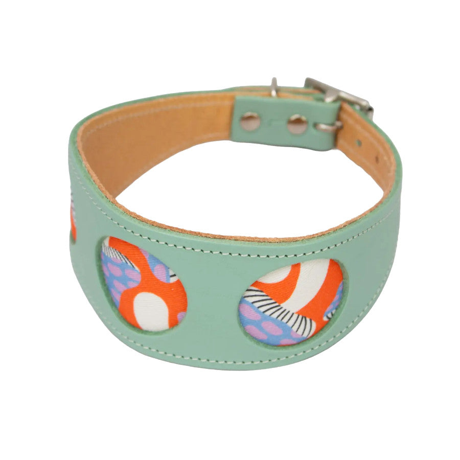 Magical Mushrooms Hound Collar
