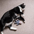 Load image into Gallery viewer, Nigel Farage Cat Toy
