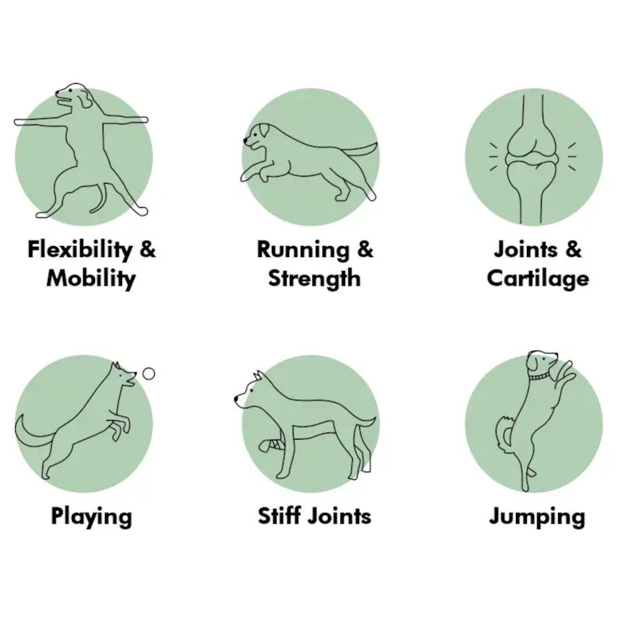 Mobility Dog Supplement