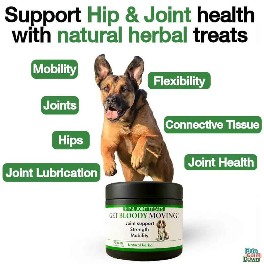 Mobility Dog Supplement