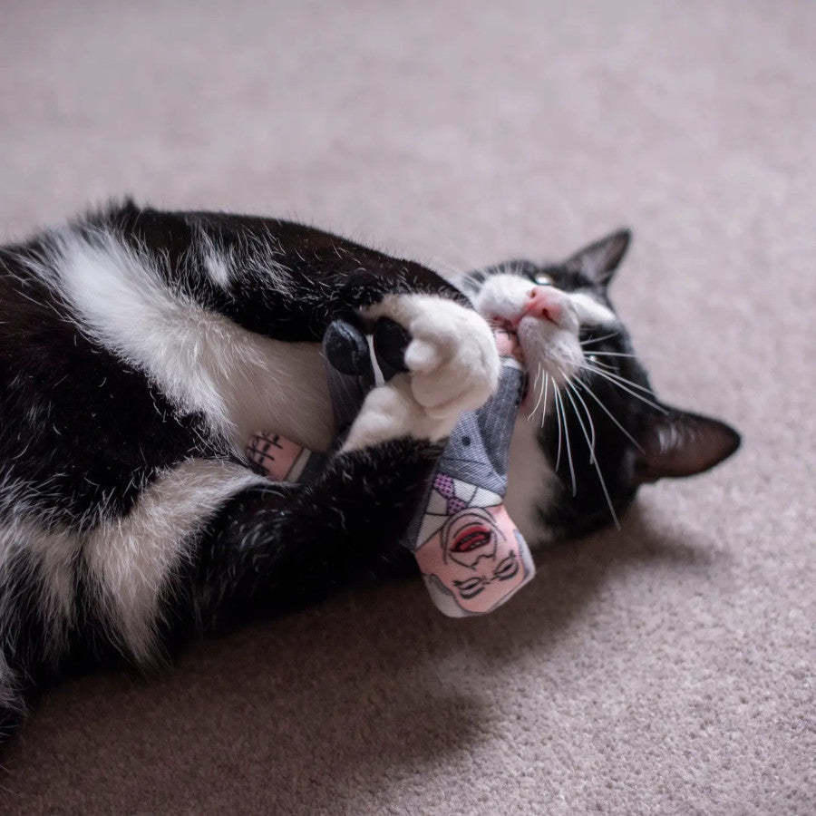 Nigel Farage Cat Toy