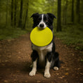 Load image into Gallery viewer, Nike Grind Frisbee
