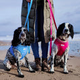 Load image into Gallery viewer, Padded Dog Lead
