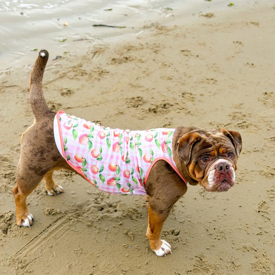Peach Cooling Vest