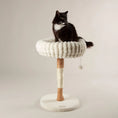 Load image into Gallery viewer, Appalachians Pear Wood Cat Tree
