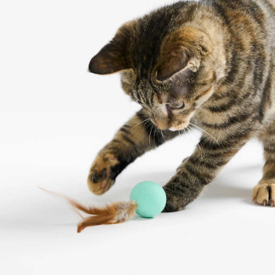 Pidan Cat Toy Bouncy Ball 3 Pack